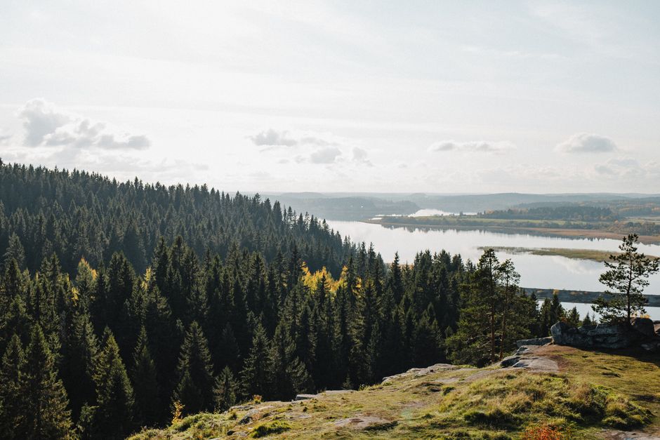 Ландшафт